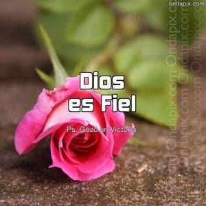 Meet your Posher, Silvia